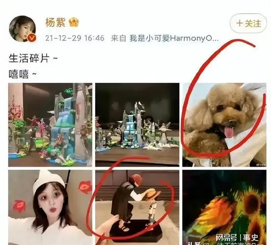 两人同在一小区,男方身份遭扒,细节都对上|娱乐圈|张艺兴|胡歌老婆