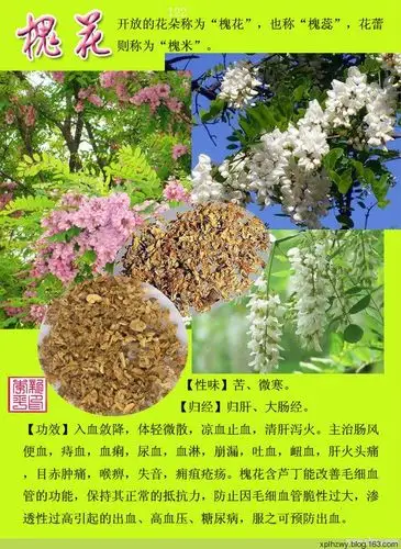 常用中草药300种图谱(十三)