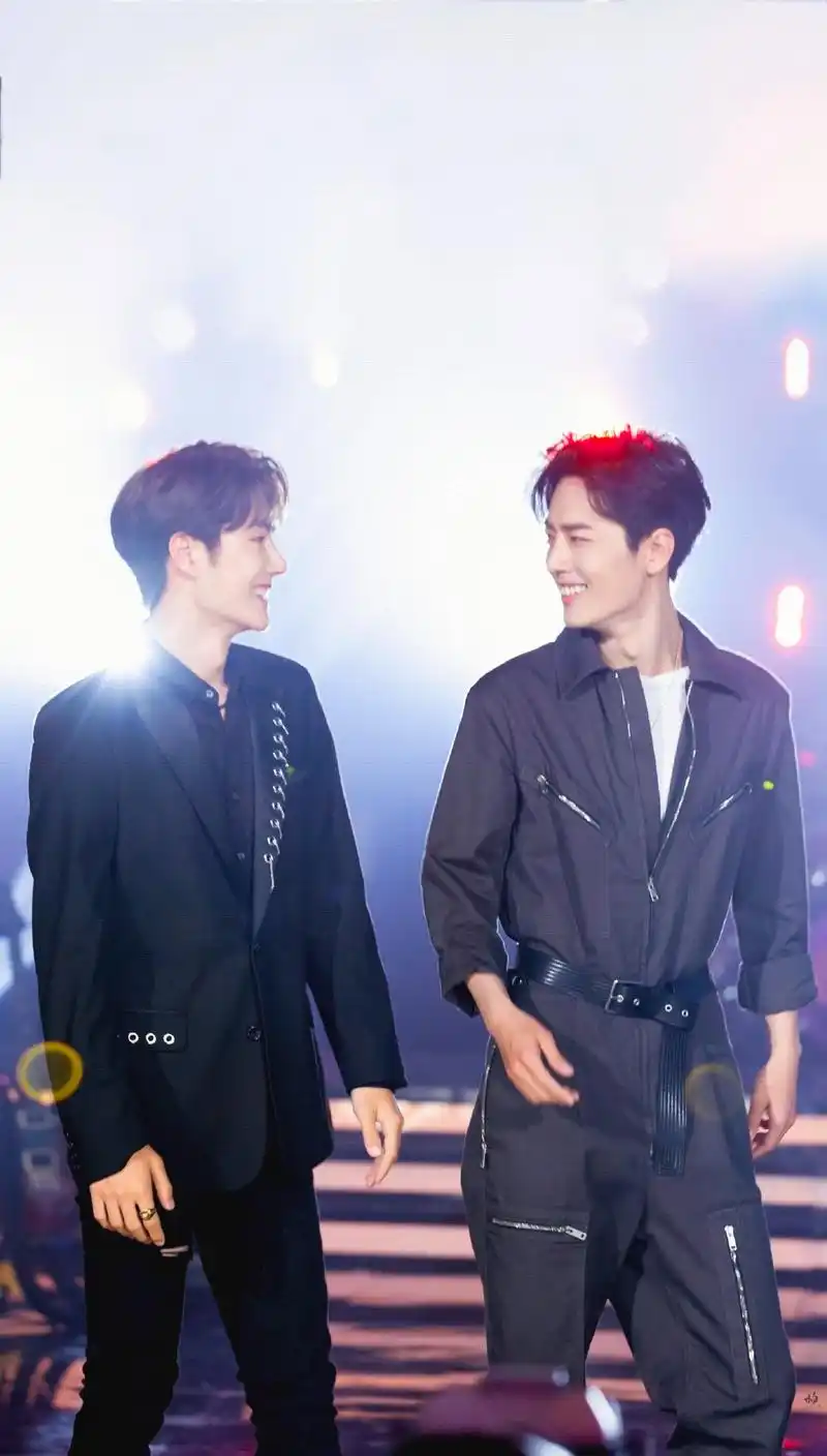 陈情令肖战王一博