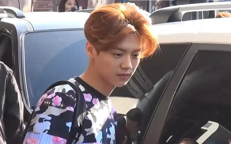 十年前也潮的风湿 || 鹿晗早期机场混剪