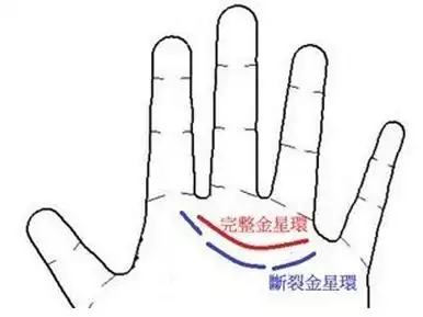 手相金星环算命