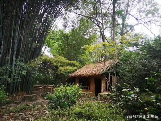 林中茅屋,现在的娃娃都没见过了.