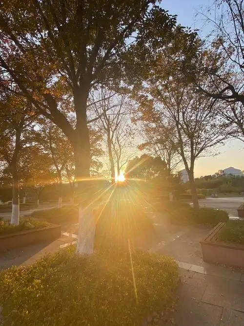 一张过曝的照片里呈现的希望