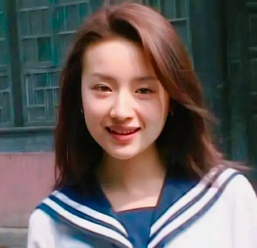 董洁的资源飞升之路