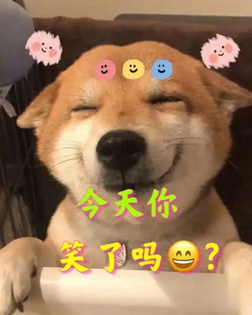 今天你笑了吗97