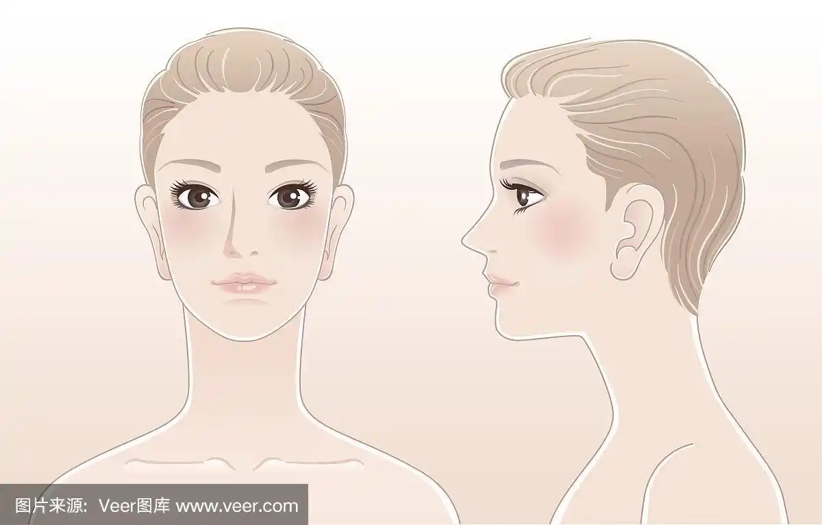 一套美丽的女人肖像,正面和侧面的观点