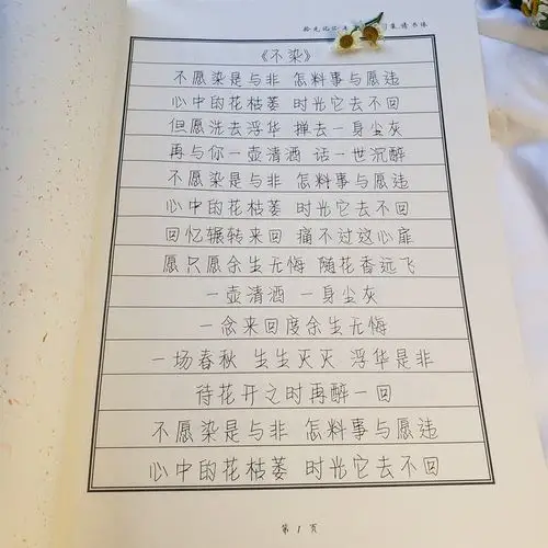 不染毛不易歌词字帖明日之星周边硬笔书法钢笔字帖行书楷书瘦金体