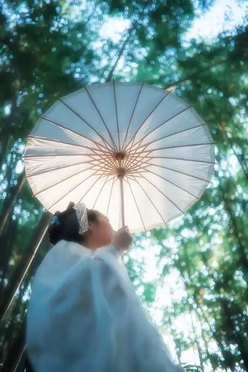 空幽竹_人像_poco摄影,古风,竹林,皖花溪