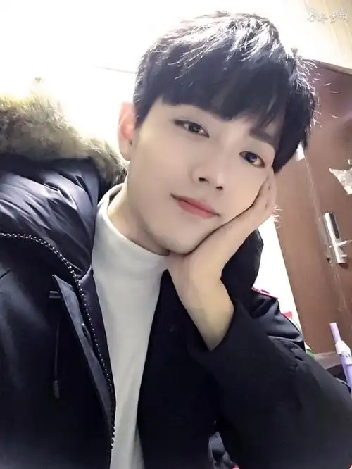 有几张肖战托腮的图,绝色中透着可爱