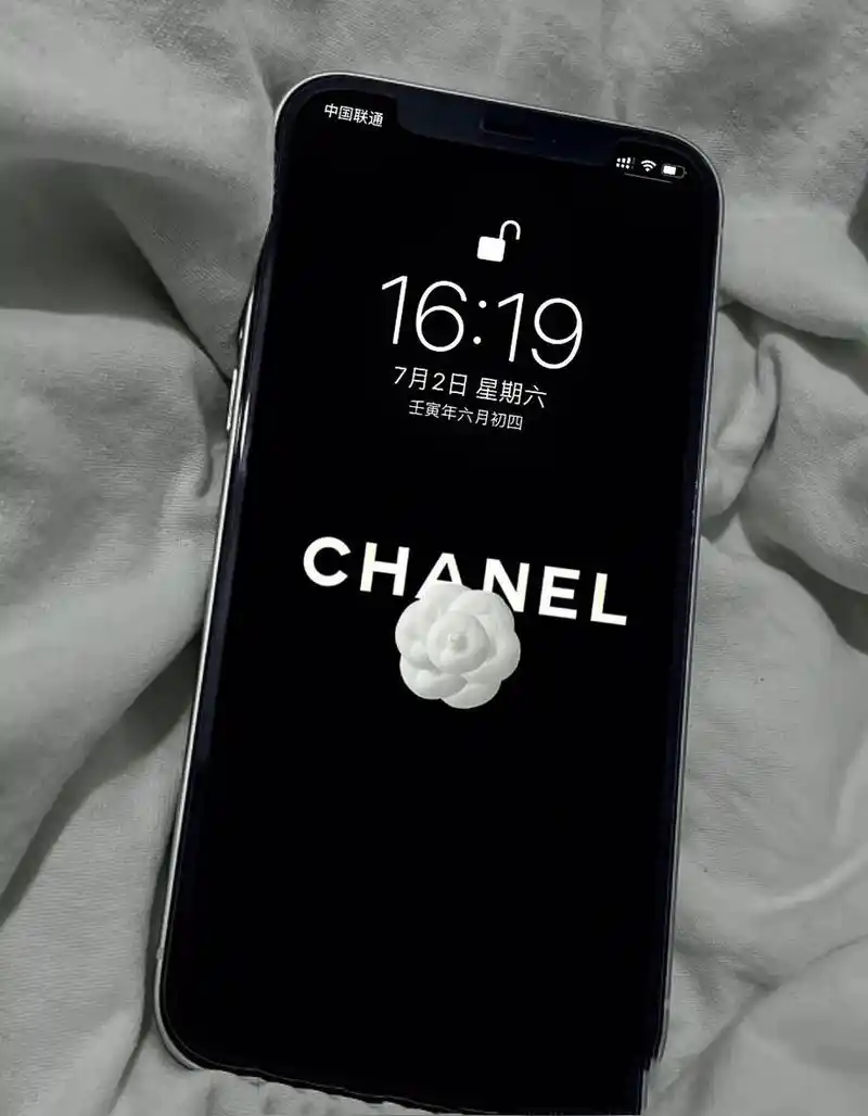 香奈儿简约大牌壁纸  山茶花 11.10喜欢这种简约风格的壁纸 :图源网络