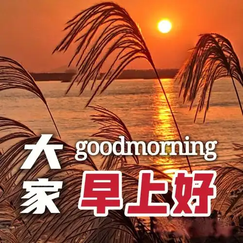 大家早上好是朋友之间暖心问候