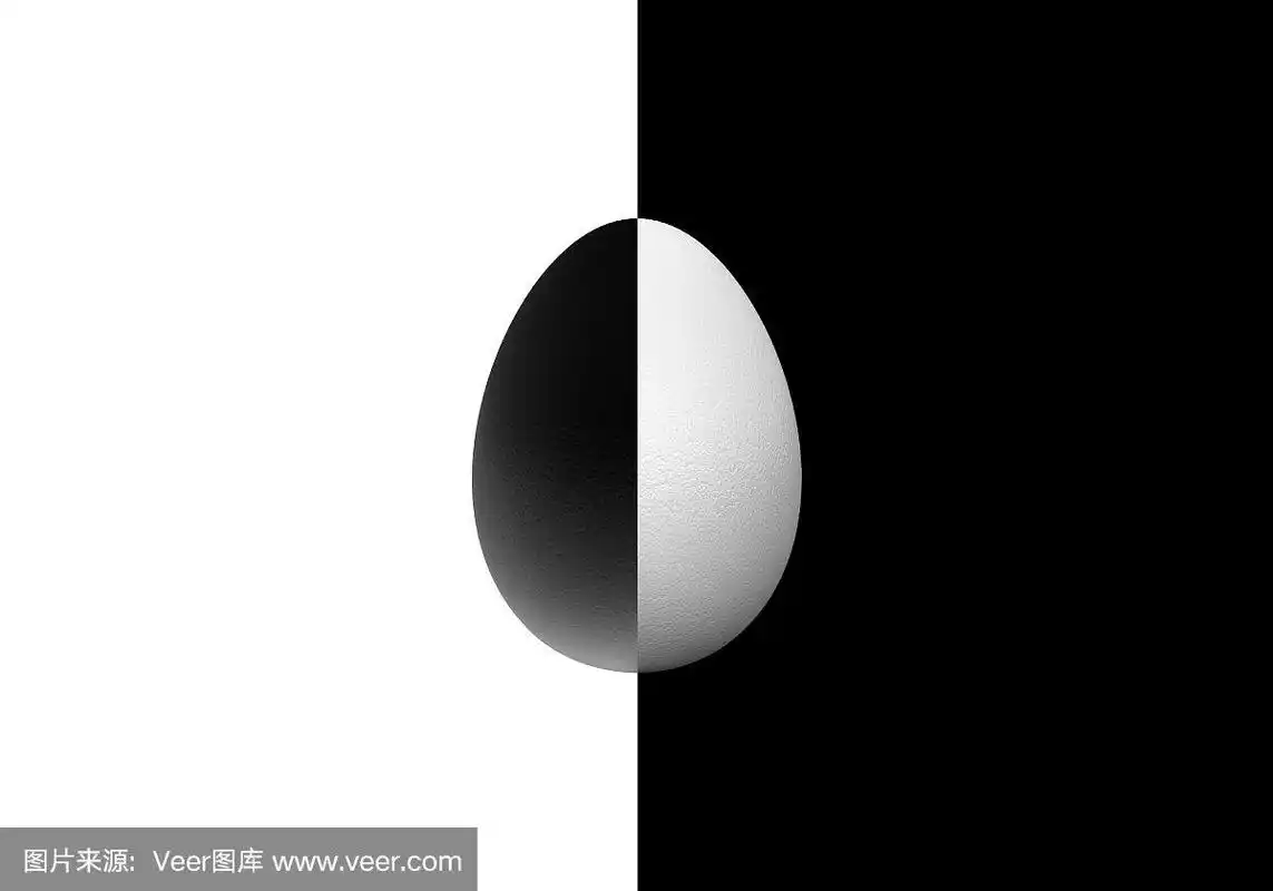 相反的黑色和白色的一半蛋