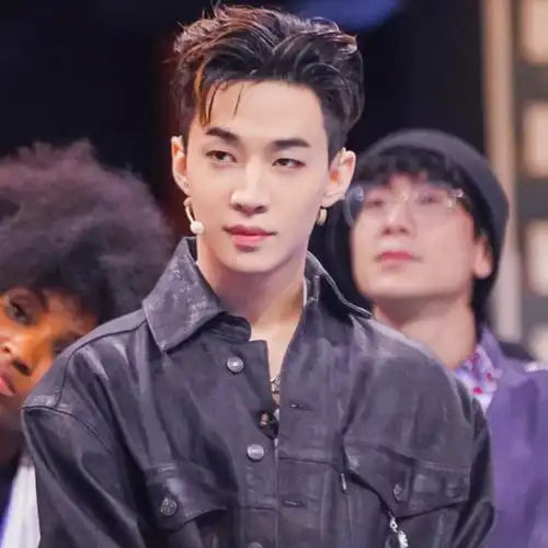 头像|刘宪华头像