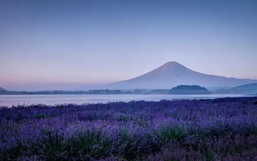 描述: 薰衣草高山河流-风景高清墙纸 当前壁纸尺寸: 1680 x 1050