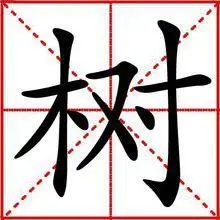 树[木本植物的统称]