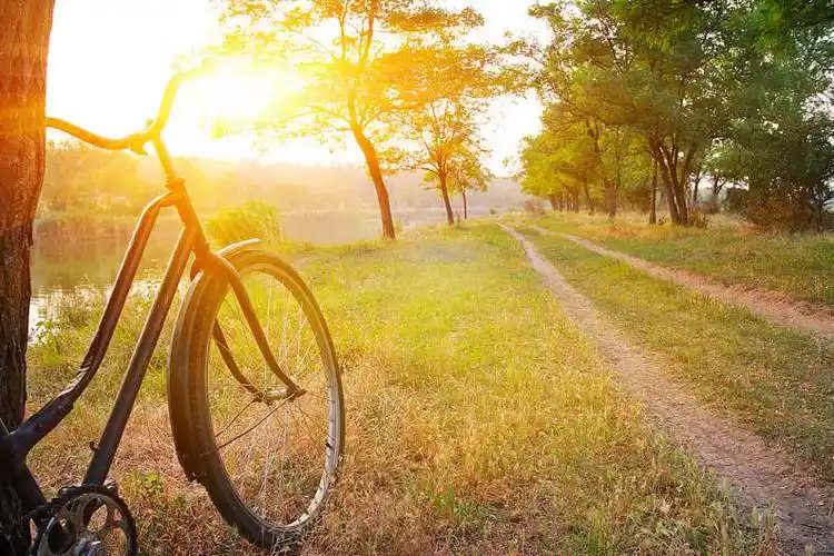 风景,自行车,靠近,树,河岸,日落_高清图片_全景视觉