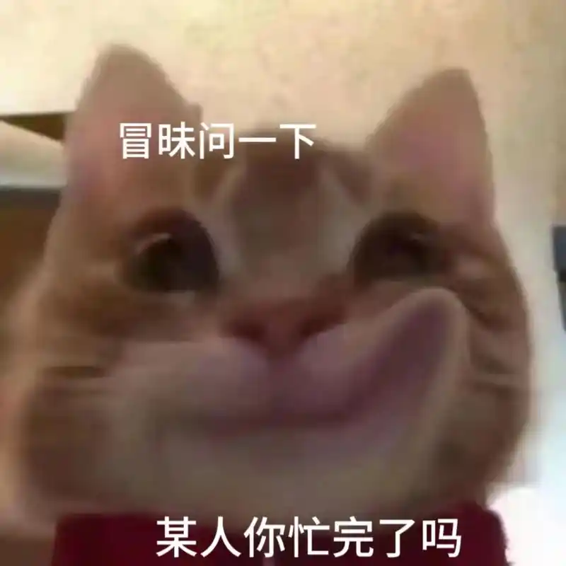歪嘴小猫 #发给对象表情包 # - 抖音