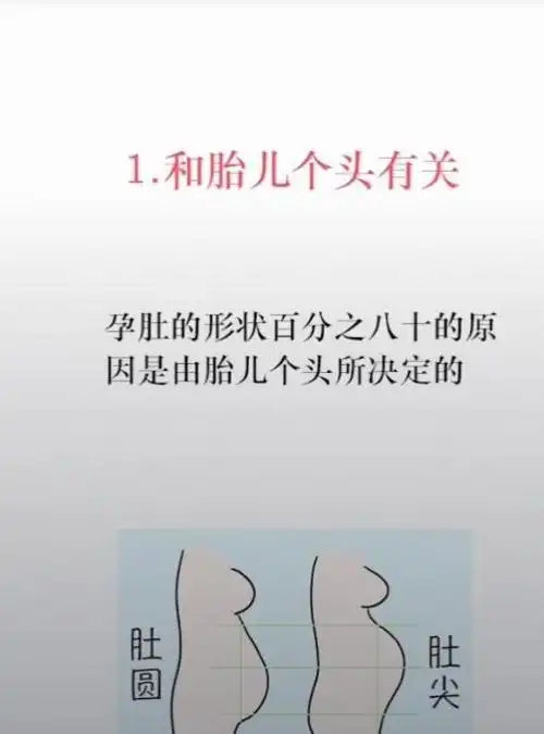 肚尖生男孩肚圆生女孩不如来听一下科学的解释吧是