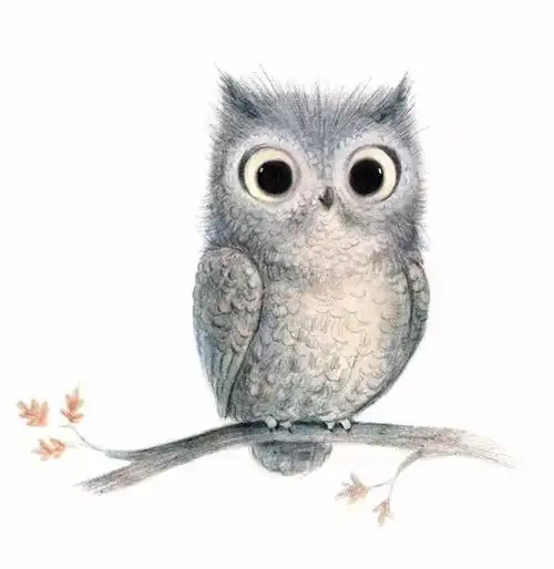 动物彩铅 - 堆糖,美图壁纸兴趣社区