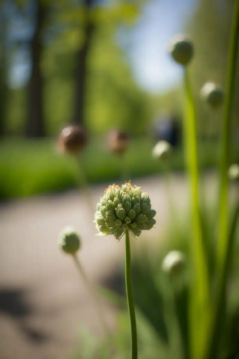 853_1280竖版 竖屏