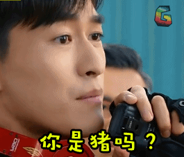 soogifsoogif出品张翰你是猪吗?gif动图_动态图_表情包下载_soogif