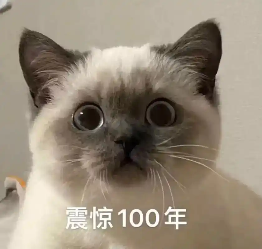 煤老板暴风哭泣#猫咪表情包 - 抖音