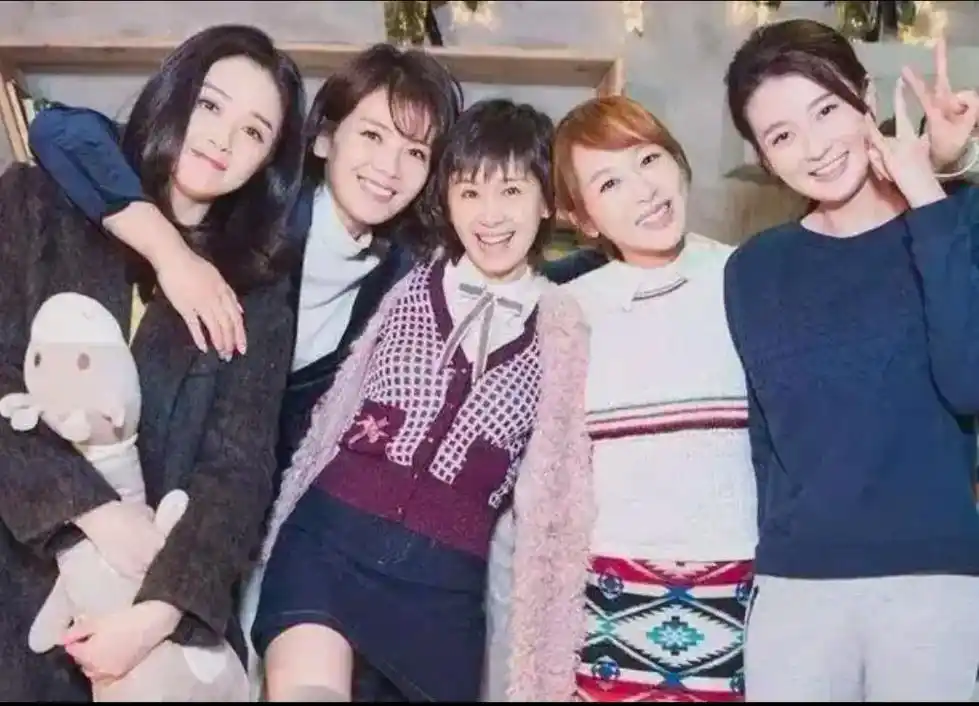 人气颇高的欢乐颂五美刘涛蒋欣王子文杨紫乔欣