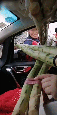 笑掉大牙想把头发梳成大人模样发现大人并没有什么头发