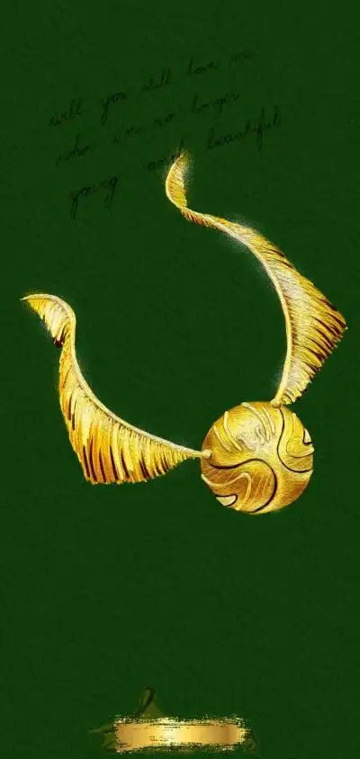 金色飞贼壁纸@lisass