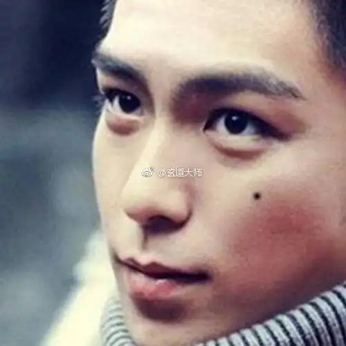 颧骨有痣的面相有着什么含义: 1左颧骨. 来自南宫风水命理 - 微博