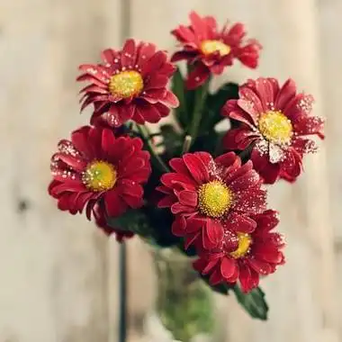 好运当头微信头像花 微信头像图片大全 -【爱个性】