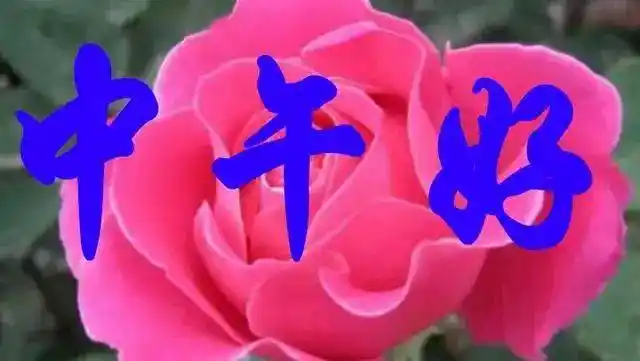 2021新版中午好问候的句子祝福动图中午好下午好的问候语动态图片表情