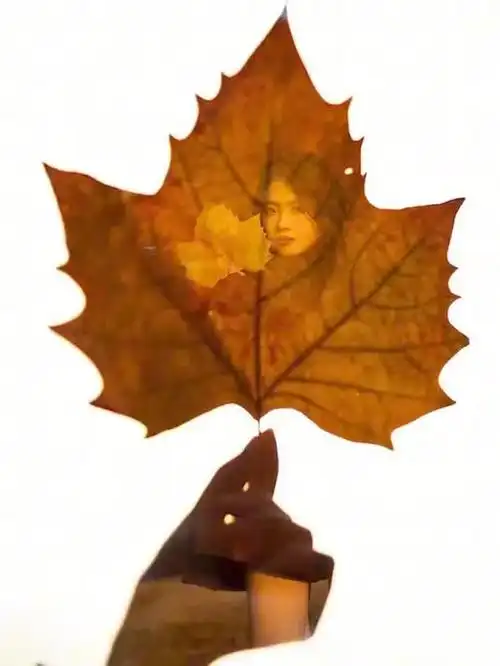 二次曝光还可以这样拍哦