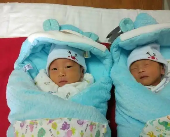 怀了双胞胎非常值得看的一篇文章