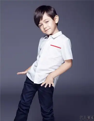 刘烨儿子诺一庆五岁生日发写真