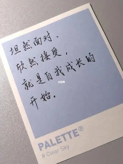 坦然面对欣然接受