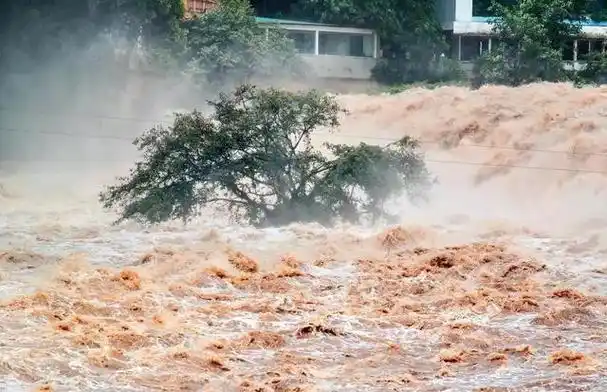 2023年夏天,河南遭遇特大洪涝灾害,造成巨大人员伤亡和财产损失.
