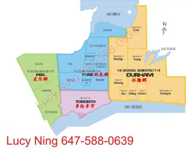 大多伦多的社区划分