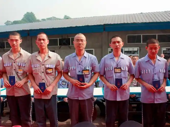 和劳改犯一起工作是怎样的体验