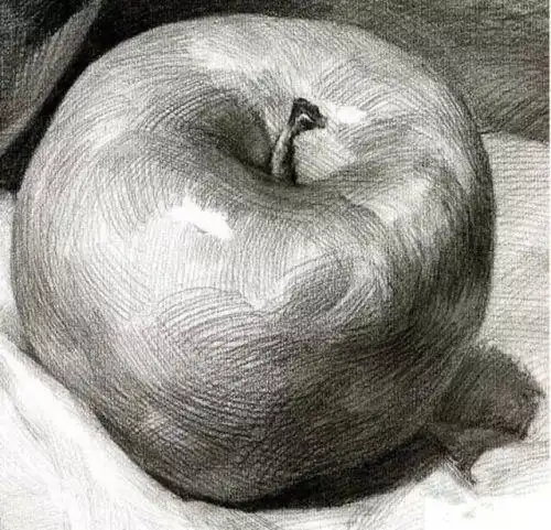 苹果的素描画法步骤 素描水果静物苹果的画法_素描自学网