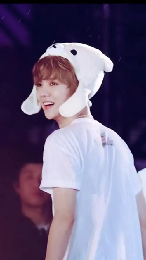 鹿晗##鹿晗exo##鹿晗愿望季#挺怀念那个时候的噜噜,总之挺意难平