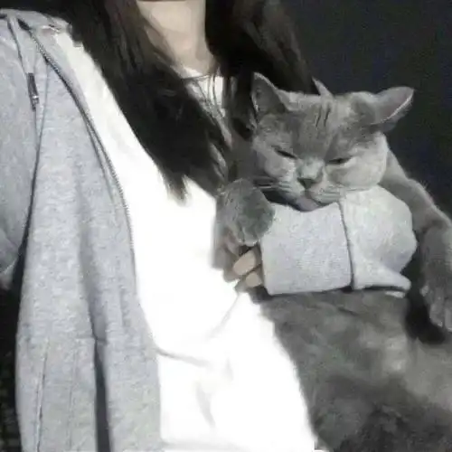 头像图片丨女生头像丨可爱的猫系女头/12/14