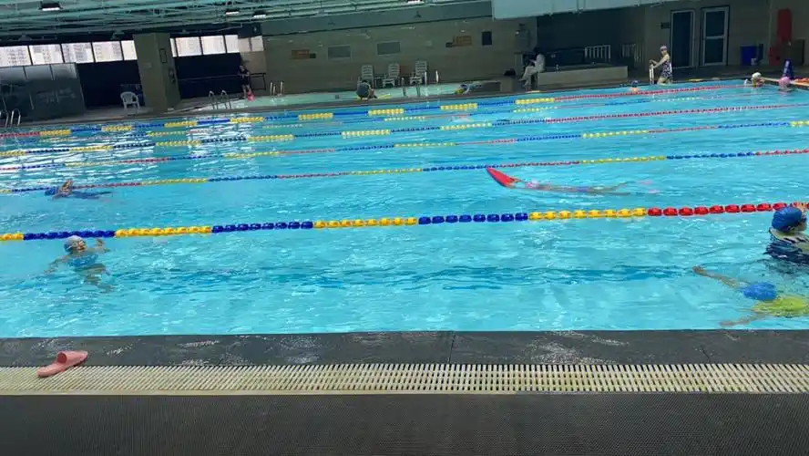 有几天没打卡了泳可是没有停下来过哦