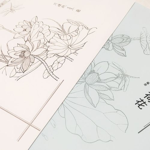 白描荷花,16开,40页,工笔初学者基础打印稿