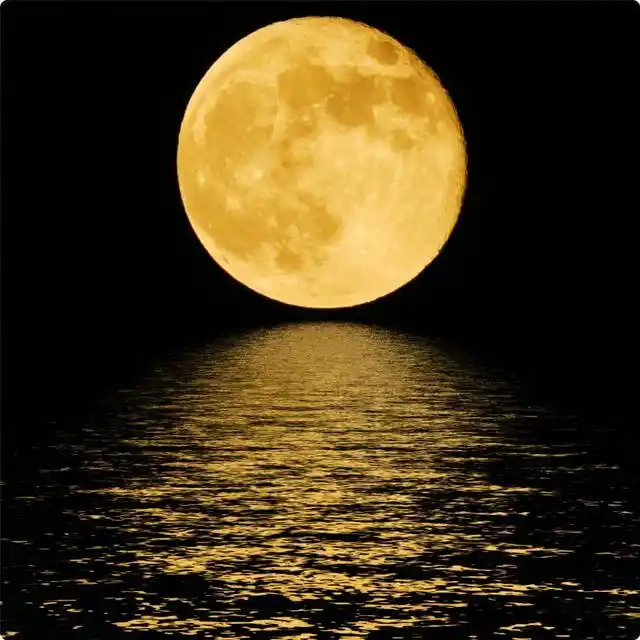 如人以手,指月示人:佛教经典中的月亮