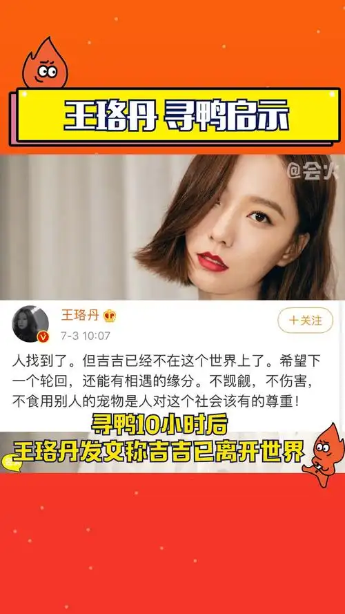 王珞丹发布寻鸭启事称同事的宠物鸭吉吉被一女士抓走,愿大家都能善待