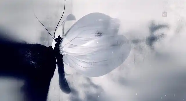 琅琊榜2唯美片头暗藏玄机媲美漫威彩蛋孔笙团队用心良苦