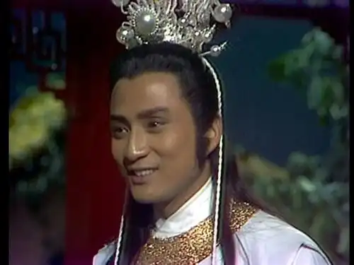 汤镇业,当年是多么的帅气,无线五虎将都现身在这部戏里.