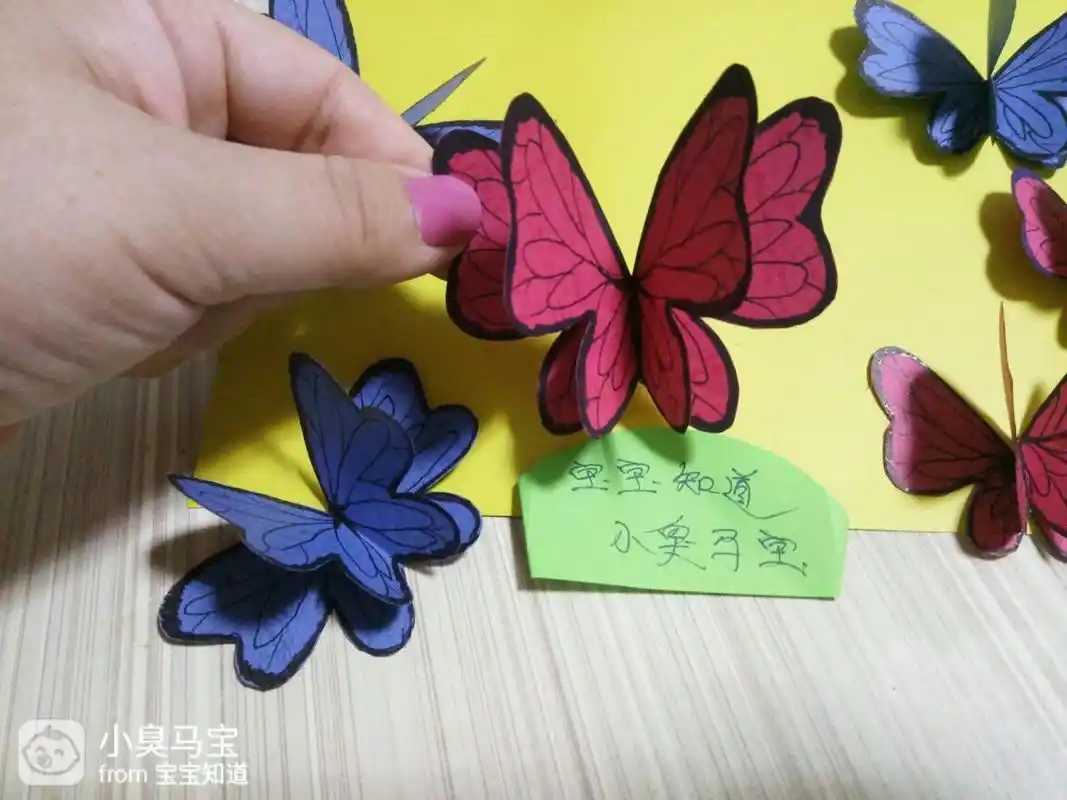 蝴蝶- 热门商品专区