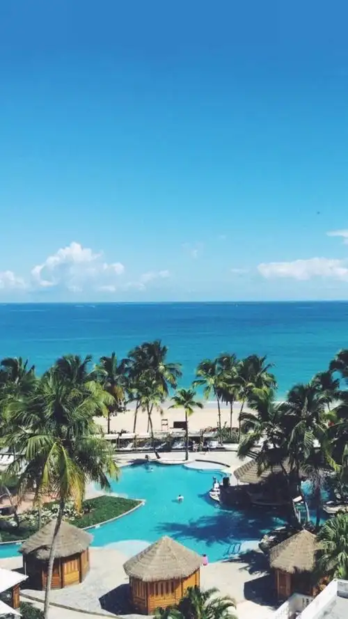 700_1244竖版 竖屏